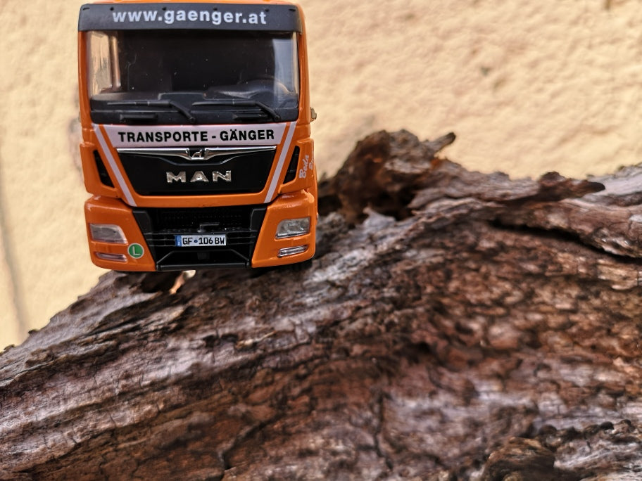 77171-01 MAN TGS L Euro 6 GÄNGER
