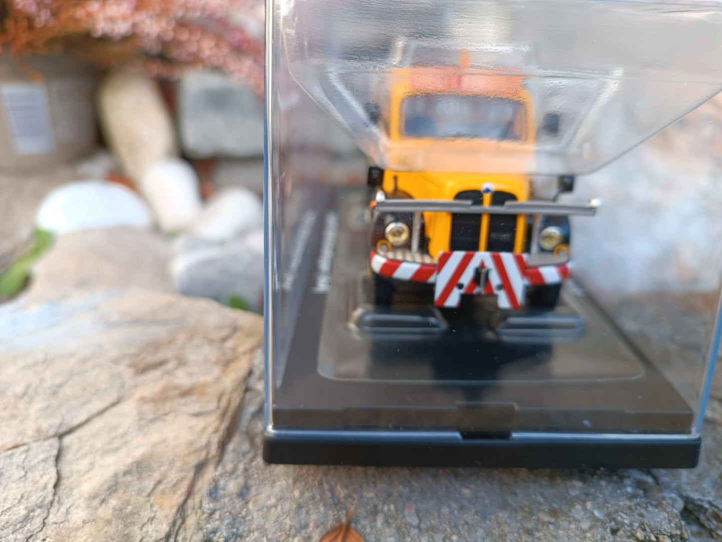 G0008326 Saurer 5 DM Welti Furrer limitierte Auflage